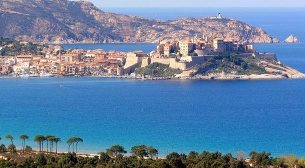 Appartement Ou Studio La Mer & La Plage A Vos Pieds Calvi Кальви Экстерьер фото