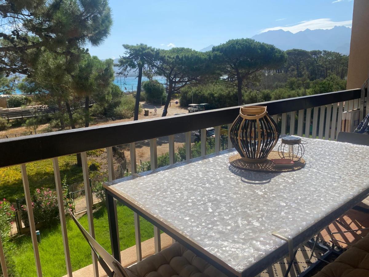 Appartement Ou Studio La Mer & La Plage A Vos Pieds Calvi Кальви Экстерьер фото